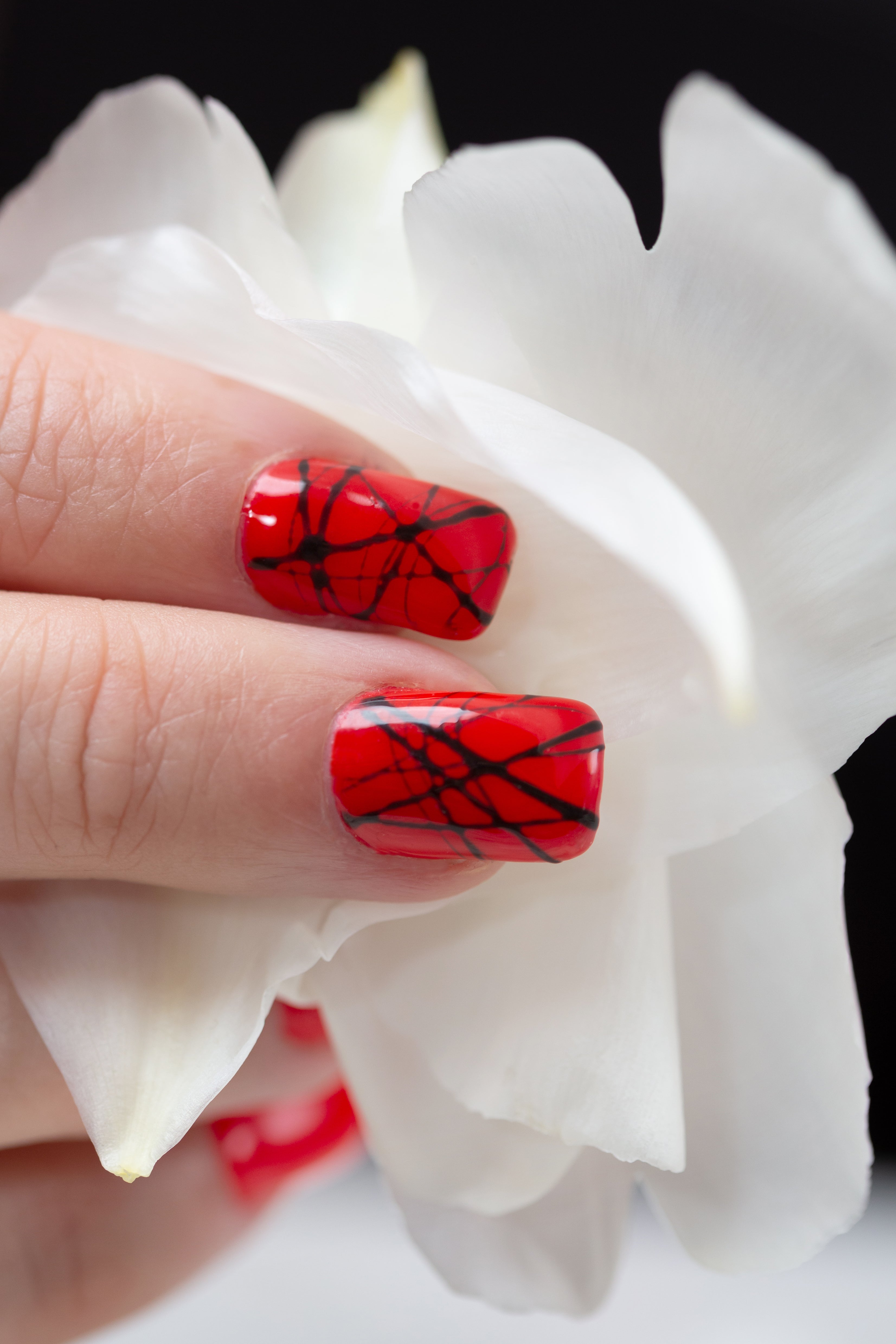 Shellac & BIAB Combo – Glam Gals